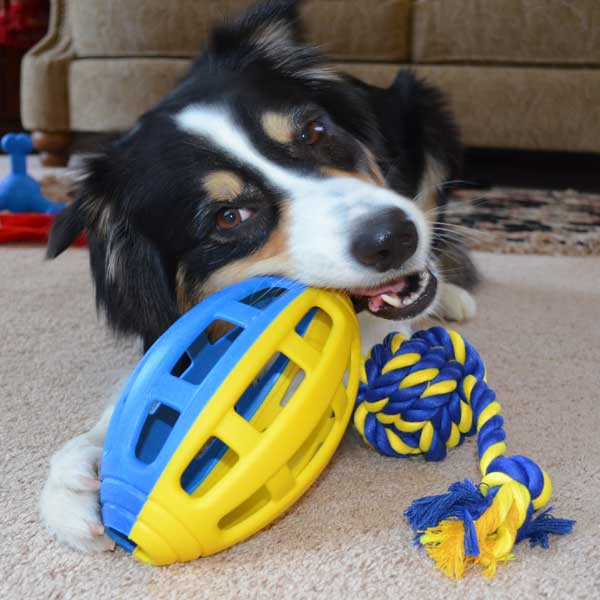 PETSPORT Flea Flicker Football