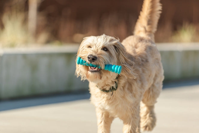 Trixie Super Strong Stick