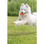 Trixie Wabenball aus TPE