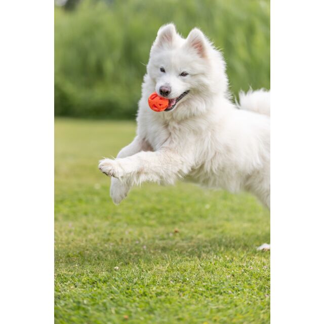 Trixie Wabenball aus TPE