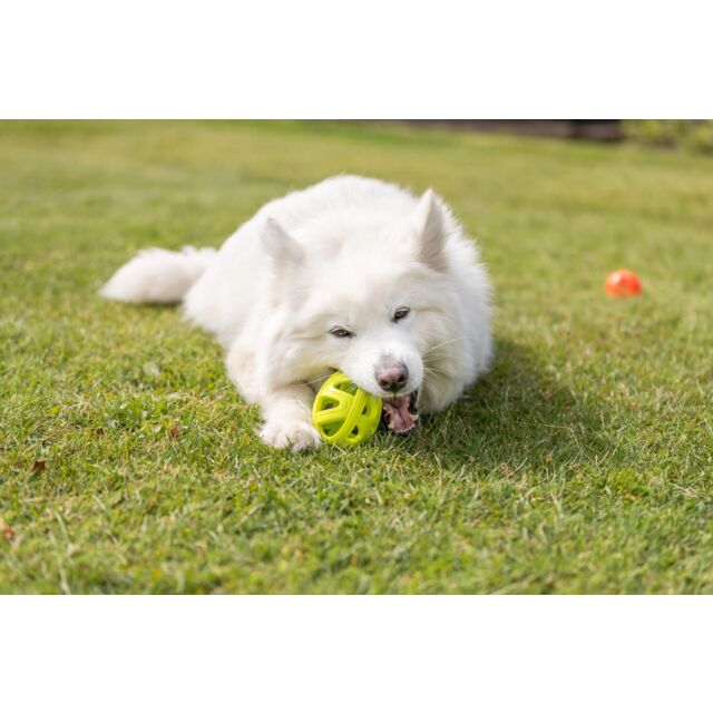 Trixie Wabenrugby aus TPE