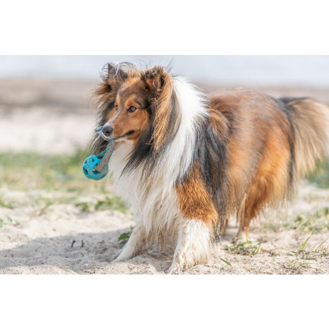 Trixie Wabenball am Seil aus TPE