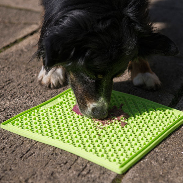 Industripet LickiMat Buddy
