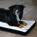 PROCYON Hundematte