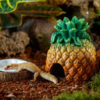 Exo Terra Tiki Kokosnuss Wassernapf