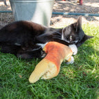 Robocat Goldfisch