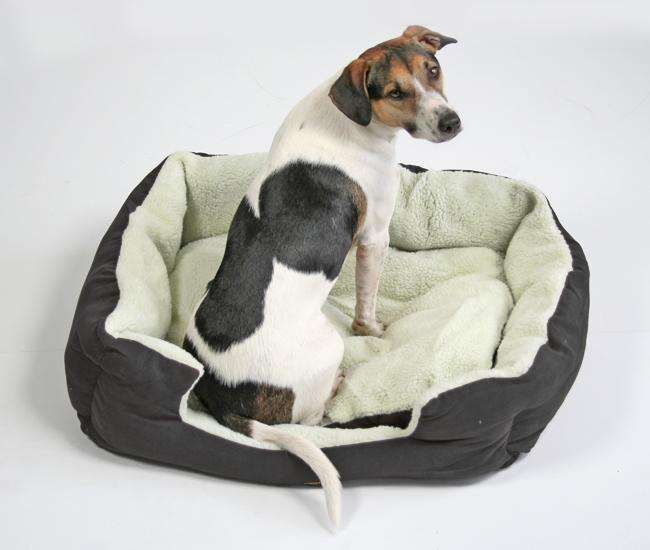 Pet Star Bett Kissen NEBRASKA