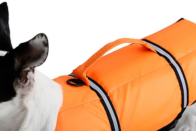 Kerbl Hunde Schwimmweste