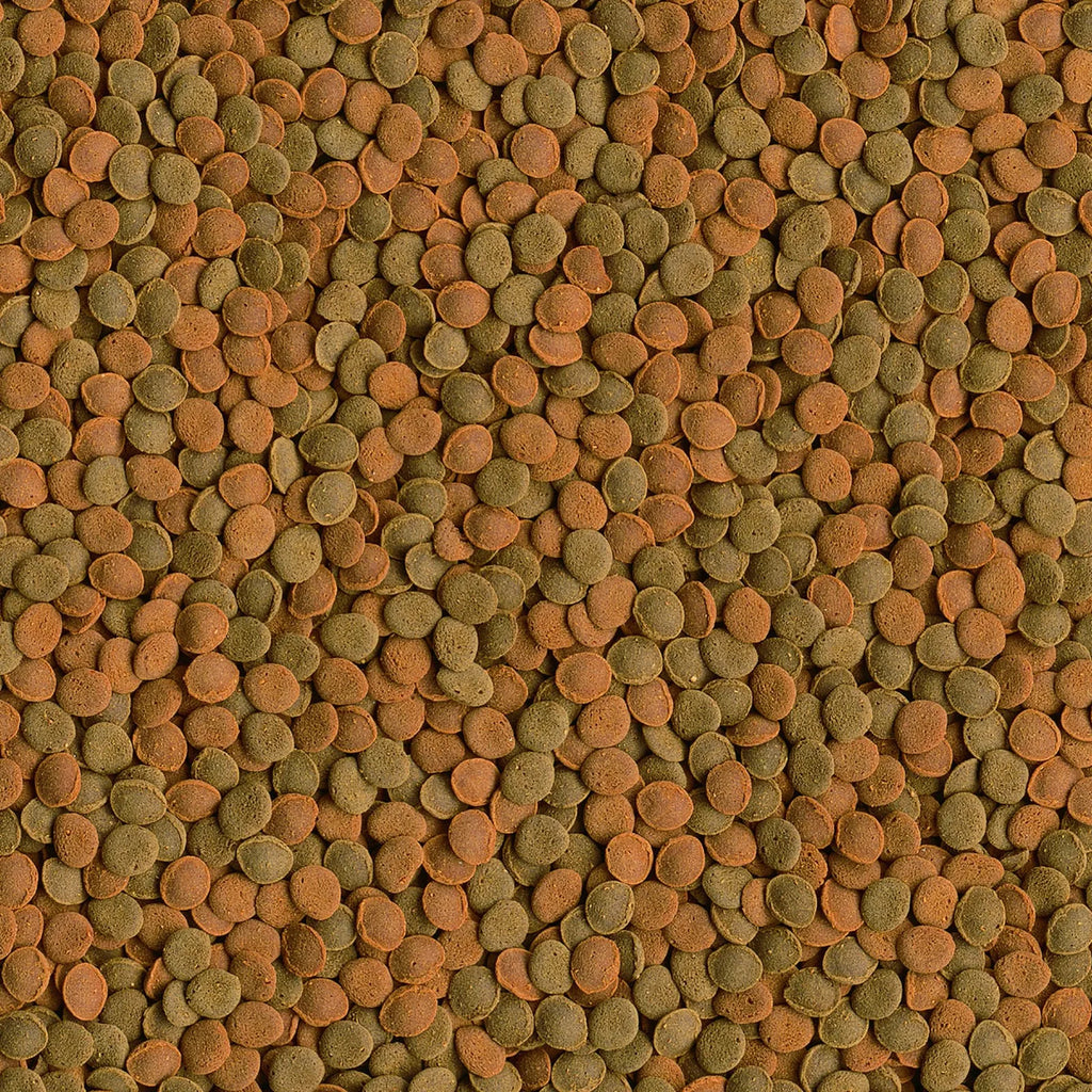 Tetra Wafer Mix ist ein Alleinfuttermittel für Bodenfische, Welse und Garnelen im Aquarium