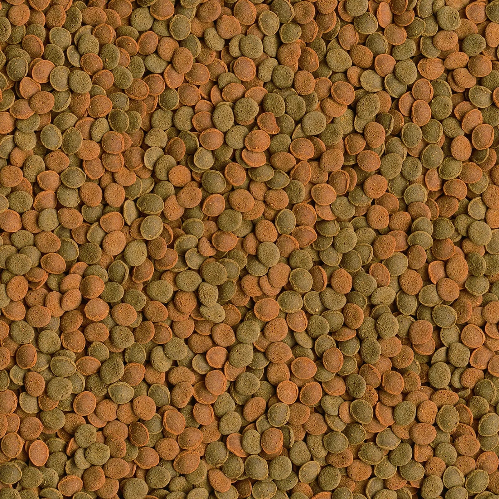 Tetra Wafer Mix ist ein Alleinfuttermittel für Bodenfische, Welse und Garnelen im Aquarium