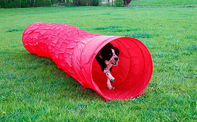 Kerbl Dog Agility Tunnel