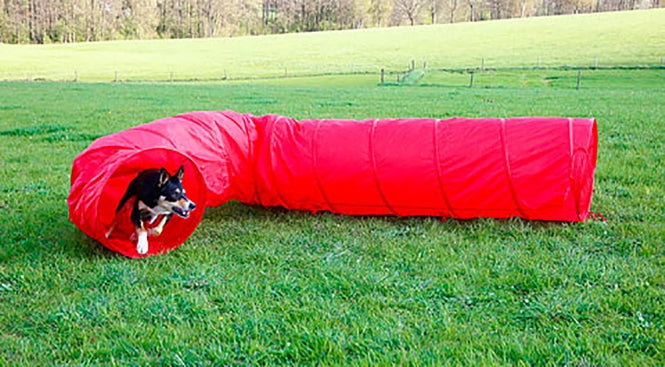 Kerbl Dog Agility Tunnel
