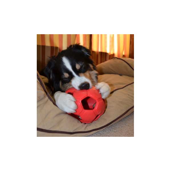 PETSPORT Turbo Kick Soccer Ball