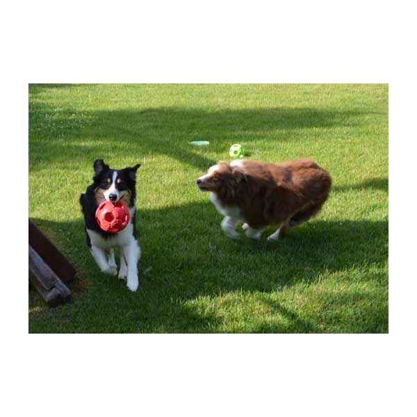 PETSPORT Turbo Kick Soccer Ball