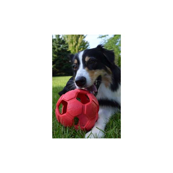 PETSPORT Turbo Kick Soccer Ball