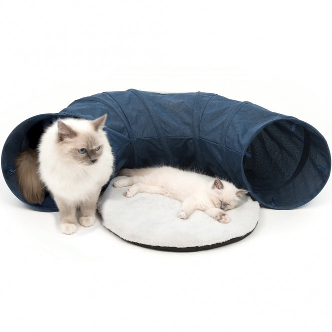 Vesper Katzen Tunnel