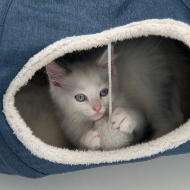 Vesper Katzen Tunnel