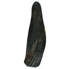 Viking twist Horn