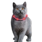 Karlie Visio Light Cat LED-Schlauch mit USB in Grau, Orange, Pink und Rot