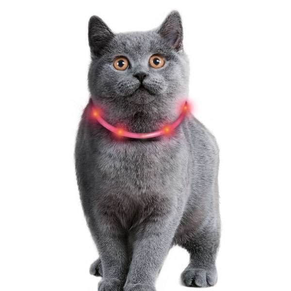 Karlie Visio Light Cat LED-Schlauch mit USB in Grau, Orange, Pink und Rot