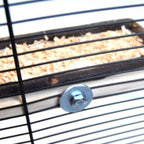 Vogelsitzbrett