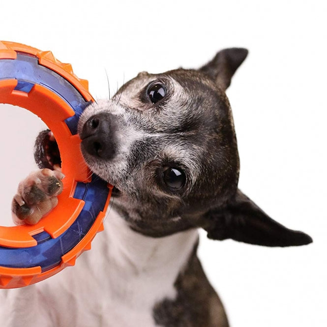 Nerf Dog Mega Tuff TPR Spike Ring