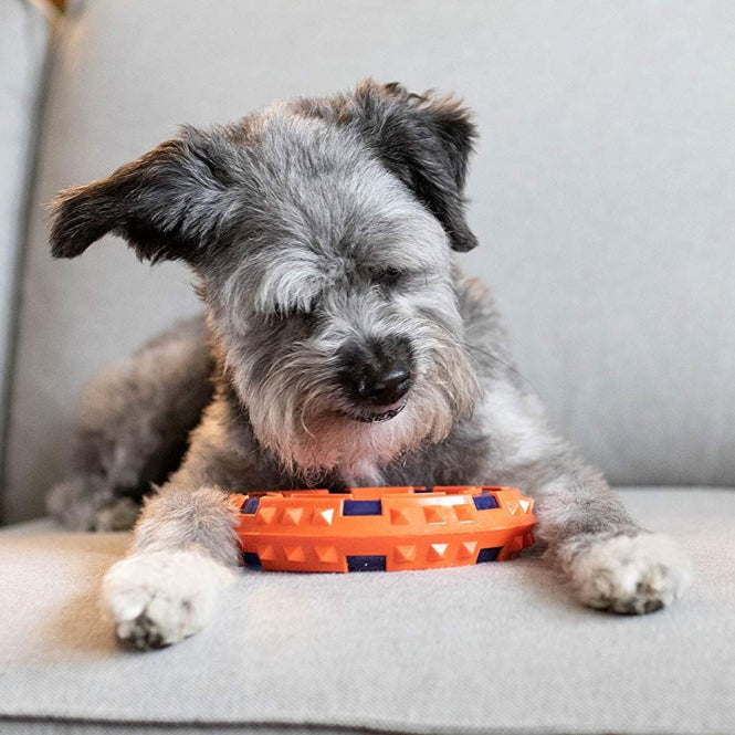 Nerf Dog Mega Tuff TPR Spike Ring