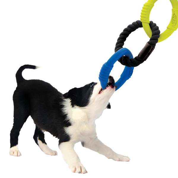 Nerf Dog 3 – Ring Tuff Tug