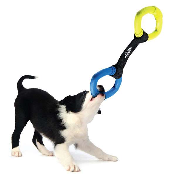 Nerf Dog Two Ring Strap Tug
