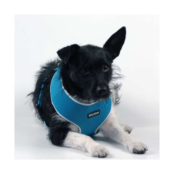 Pet Star Softgeschirr / Netzgeschirr