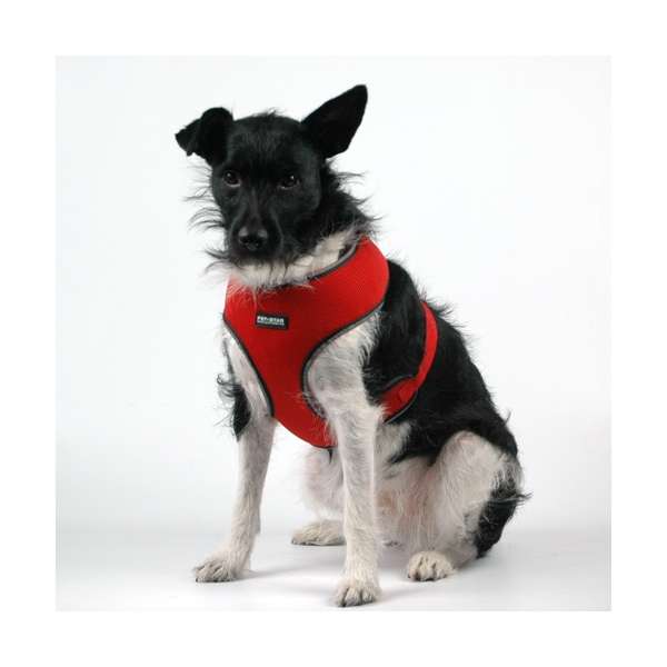 Pet Star Softgeschirr / Netzgeschirr