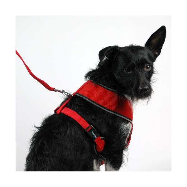 Pet Star Softgeschirr / Netzgeschirr
