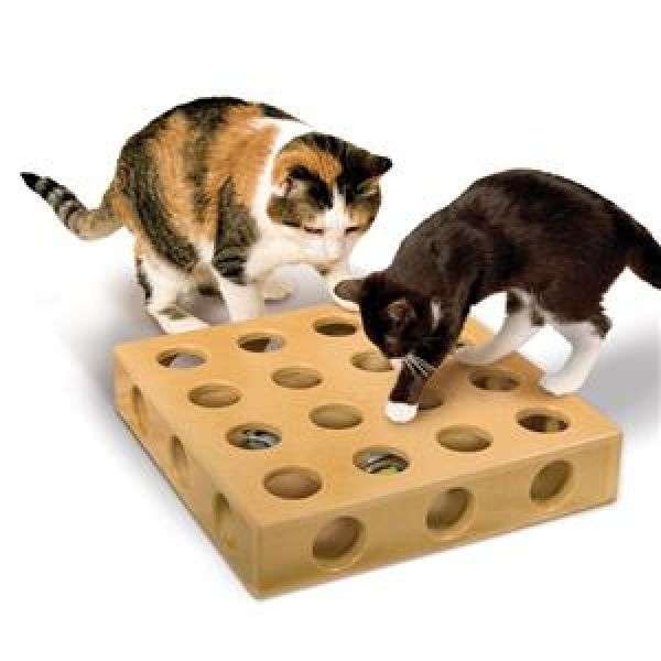Peek - A - Prize Katzenspielzeug