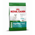 Royal Canin Size Mini Ageing 12+