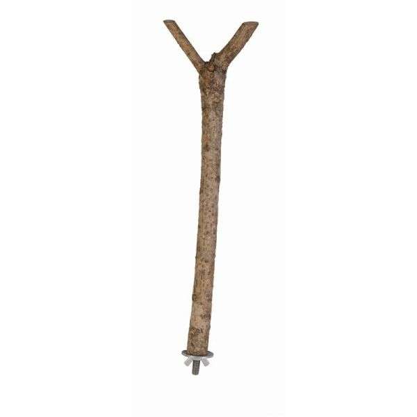 Y - Sitzstange aus Naturholz