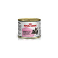 Royal Canin Feline Health Nutrition Babycat Instinctive
